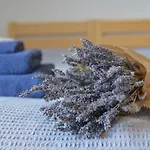 Farm stay Statek Krkavci Hora
